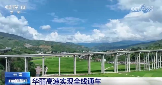 第335页