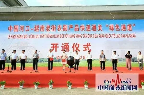 中越边境河口口岸今年出入境外国团队旅客逾33万人次 创新高