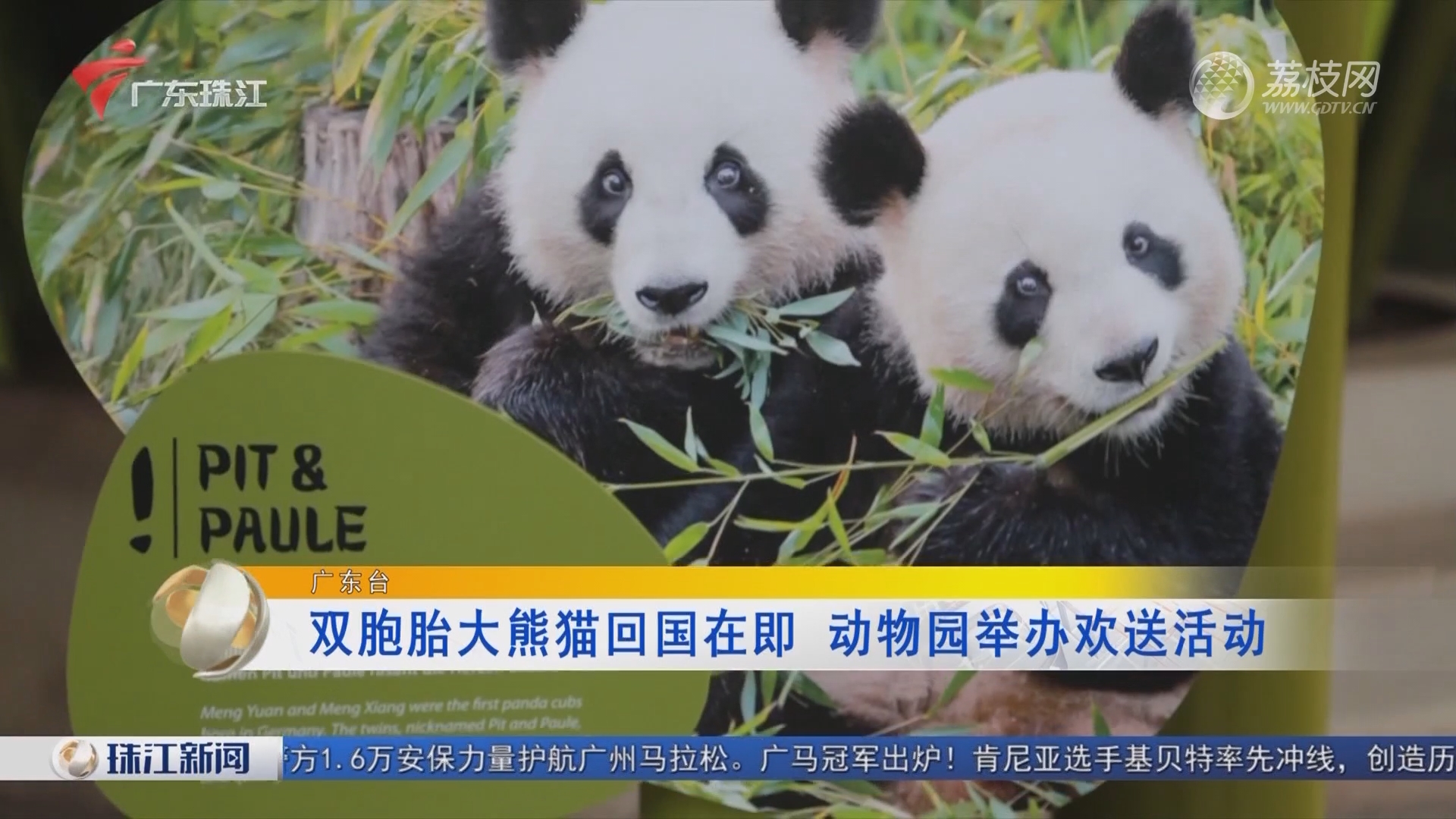 熊猫中心欢送大熊猫“安安”“可可”赴港