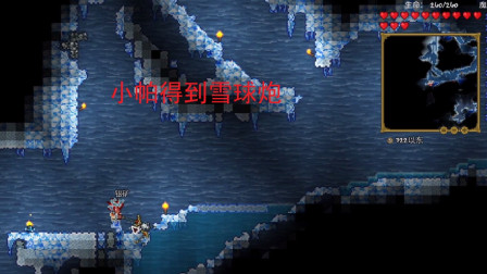发现南非新魅力 探索野性与现代的完美融合