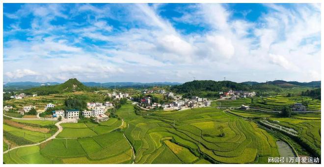 乡村振兴新动力 山西河曲红葱产业助力农民增收致富之路全面升级