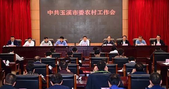 深入探讨文明乡风建设工程的重要性与实施意义推动乡村振兴新局面