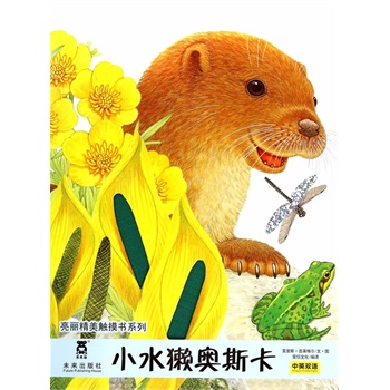 如何优雅地与水獺互动 揭秘水獺小手的正确触摸技巧与注意事项