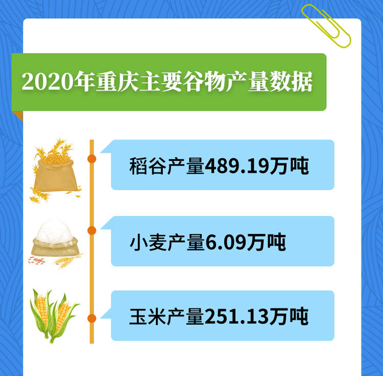 粮食安全无小事 过期大米流入乡村学校问题亟需引起重视与整改