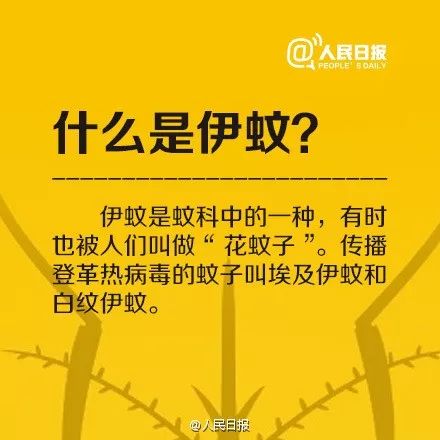 广东登革热疫情加剧七天内新增病例775例背后原因是什么影响了地方健康状况