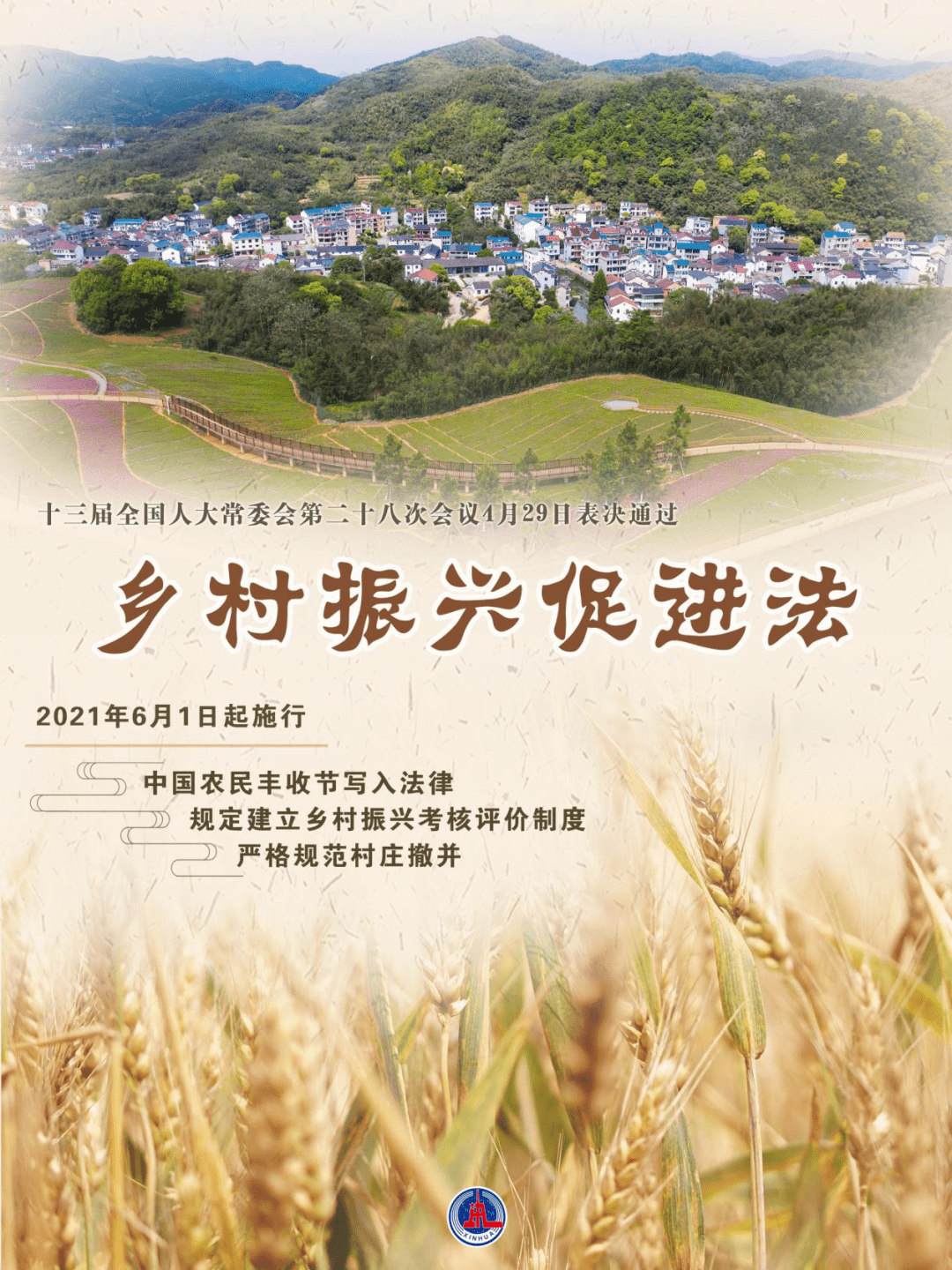 汤原县的小蘑菇如何成为乡村振兴的明亮灯塔助力美好未来