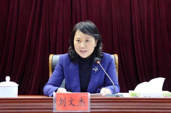 湖南省财政厅厅长刘文杰意外去世 震惊各界引发广泛关注与讨论