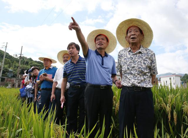 拜泉县鲜食玉米产业崛起助力农民增收致富新路径探索