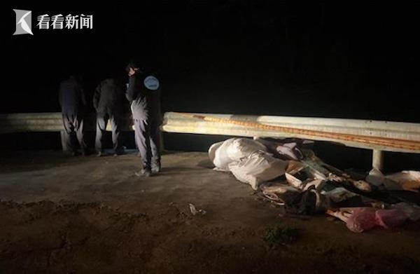 内蒙古惊现女尸 手脚被绑引发对犯罪行为的深思与关注