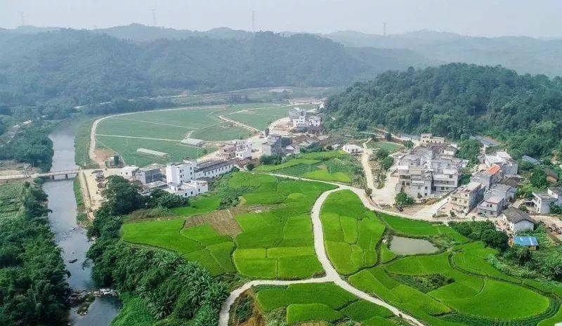 大武夷生态带助力闽北乡村文旅繁荣 新时代发展模式的探索与实践