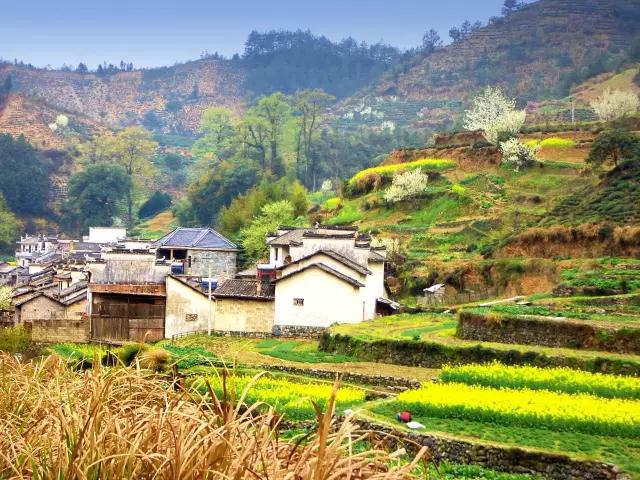 山东乡村微度假热潮兴起 游客在田野间体验诗意生活与远行乐趣