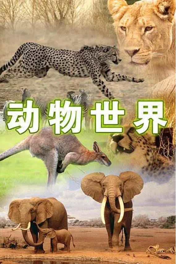 A股如同动物繁殖季节般狂欢未来上涨趋势还能持续多久