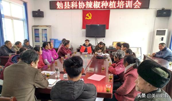 自治区科协携手开展重阳节系列活动 打造温情科普助老新风尚